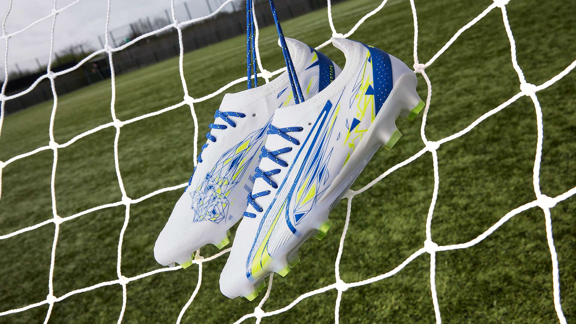 完全有能力 完全有能力